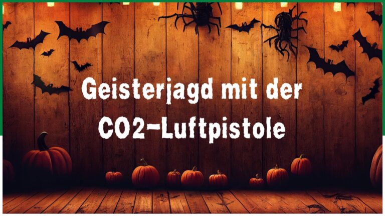 🕸️ Geisterjäger & Jägerinnen gesucht